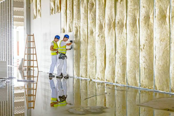 Best Spray Foam Insulation in Rollingwood, CA